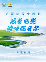 桃李木瓜今何报，抚平心涛看琼瑶。